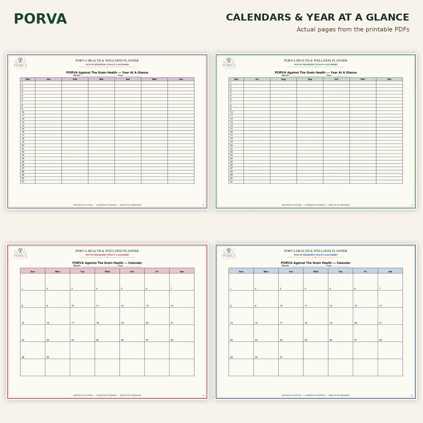 Complete Health Tracker & Medical Binder Printable Bundle – 5 Jewel Tone Colors - Image 5
