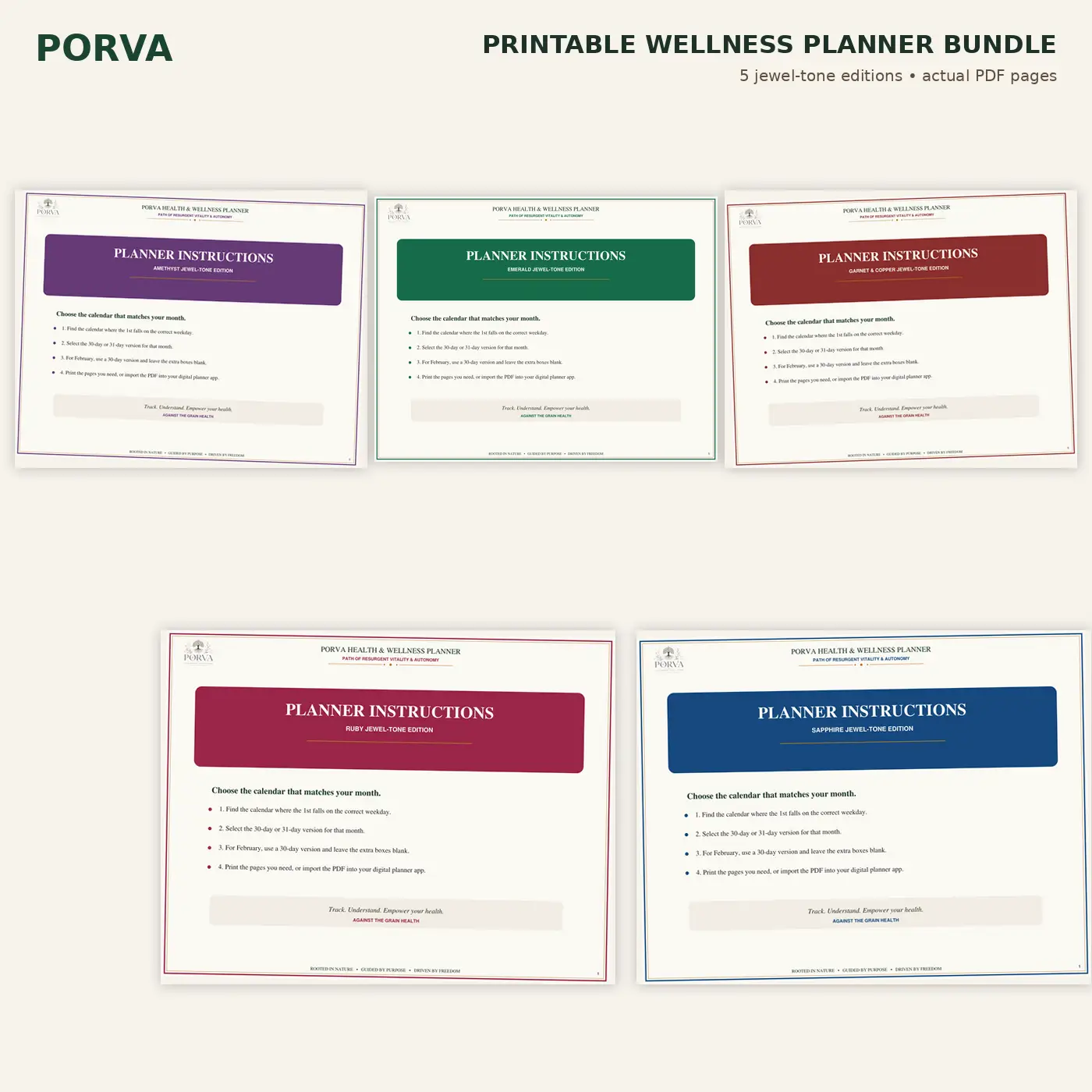 Complete Health Tracker & Medical Binder Printable Bundle – 5 Jewel Tone Colors - Image 6